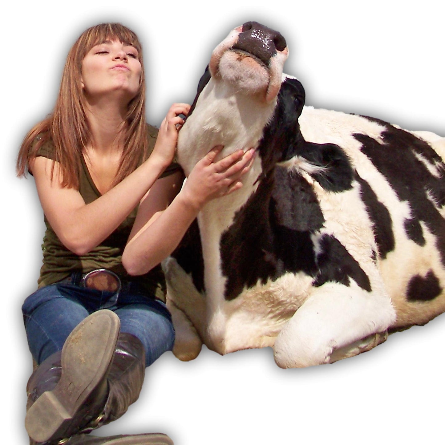 Zip Around Wallet Cow
