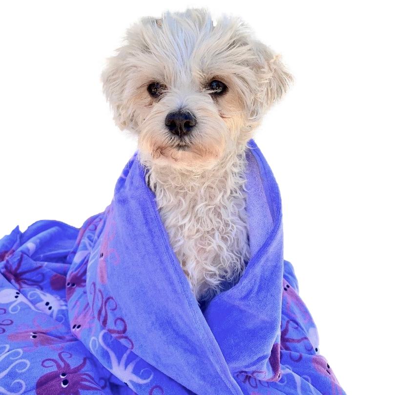 Beach Towel Octopus